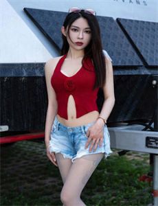《灵域电视剧免费观看全集在线》